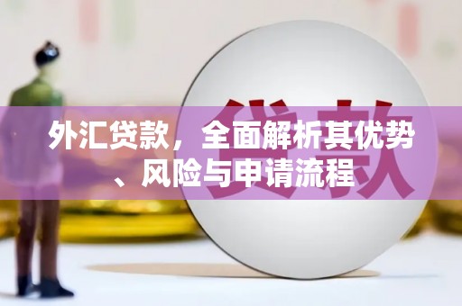 河南外汇贷款，全面解析其优势、风险与申请流程