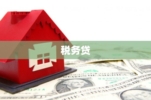 河南税务贷