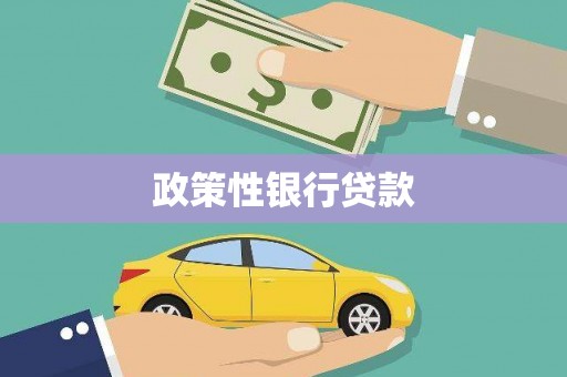 河南政策性银行贷款