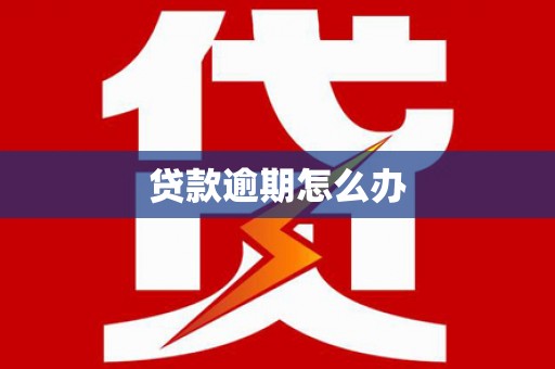 河南贷款逾期怎么办