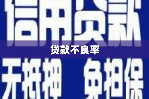 河南贷款不良率