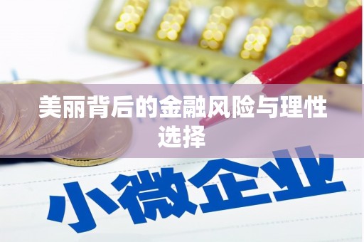河南美丽背后的金融风险与理性选择
