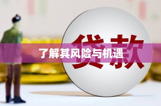 河南了解其风险与机遇