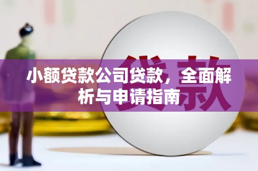 河南小额贷款公司贷款，全面解析与申请指南