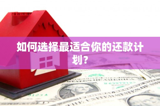河南如何选择最适合你的还款计划？