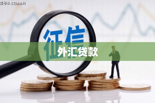 河南外汇贷款