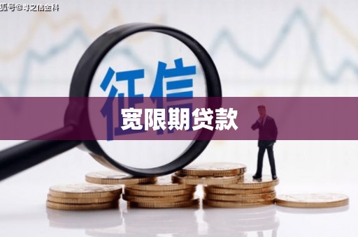 河南宽限期贷款