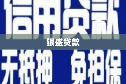 河南银盛贷款