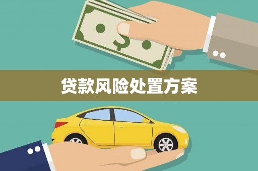 河南贷款风险处置方案