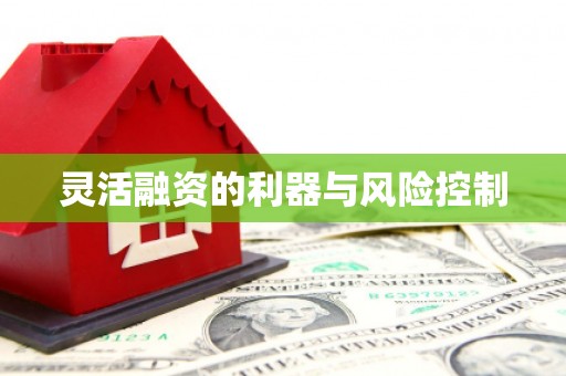 河南灵活融资的利器与风险控制