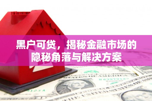 河南黑户可贷，揭秘金融市场的隐秘角落与解决方案