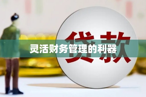 河南灵活财务管理的利器