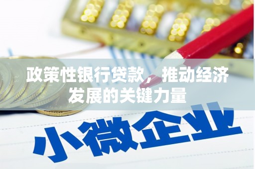 河南政策性银行贷款，推动经济发展的关键力量