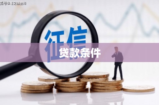 河南贷款条件