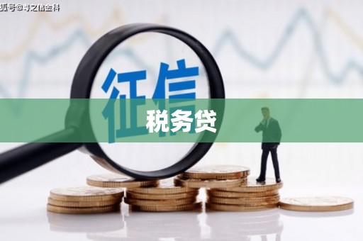 河南税务贷