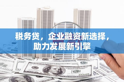 河南税务贷，企业融资新选择，助力发展新引擎