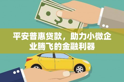 河南平安普惠贷款，助力小微企业腾飞的金融利器