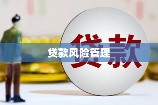 河南贷款风险管理