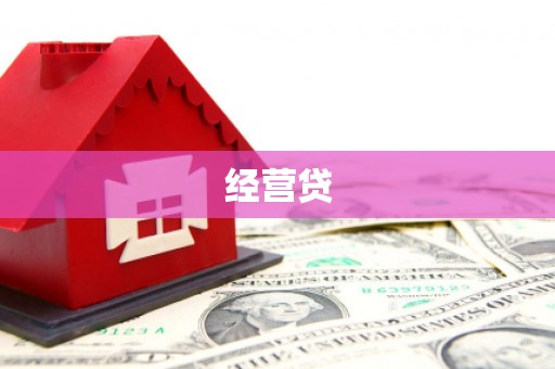 河南经营贷