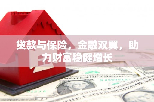 河南贷款与保险，金融双翼，助力财富稳健增长