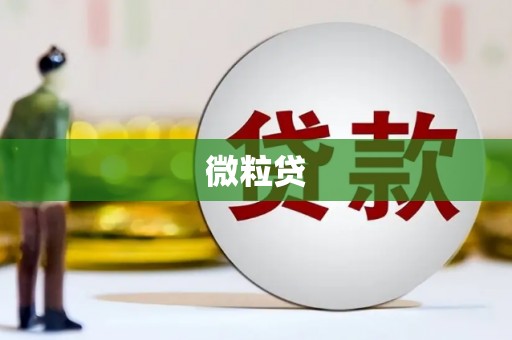 河南微粒贷