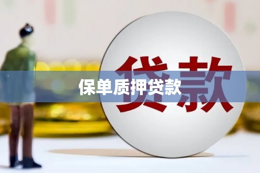 河南保单质押贷款