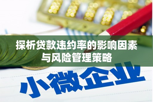 河南探析贷款违约率的影响因素与风险管理策略