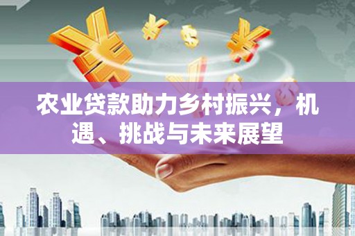 河南农业贷款助力乡村振兴，机遇、挑战与未来展望