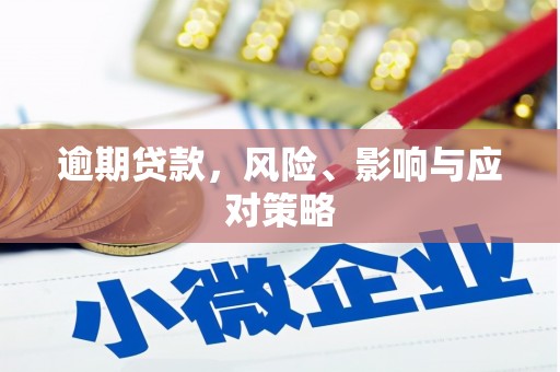 河南逾期贷款，风险、影响与应对策略