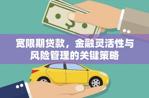 河南宽限期贷款，金融灵活性与风险管理的关键策略