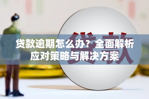 河南贷款逾期怎么办？全面解析应对策略与解决方案