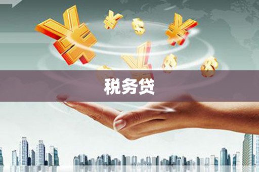 河南税务贷