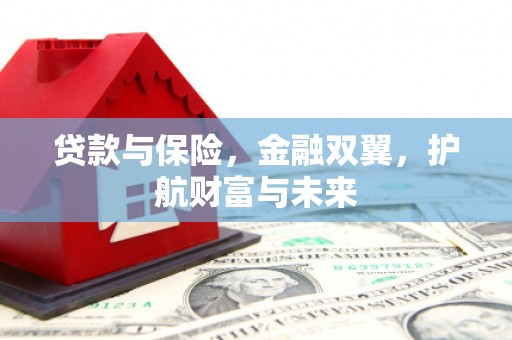 河南贷款与保险，金融双翼，护航财富与未来