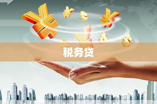 河南税务贷