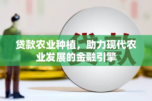 河南贷款农业种植，助力现代农业发展的金融引擎