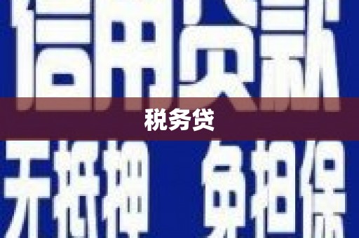 河南税务贷