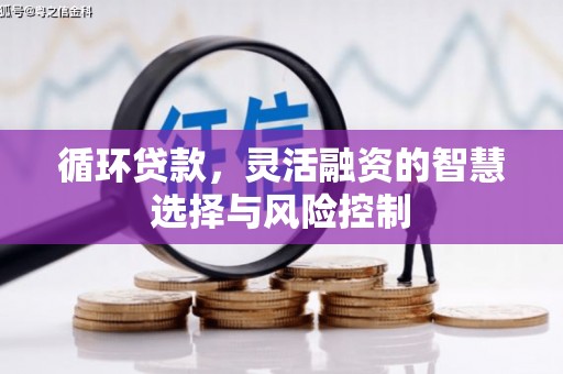 河南循环贷款，灵活融资的智慧选择与风险控制