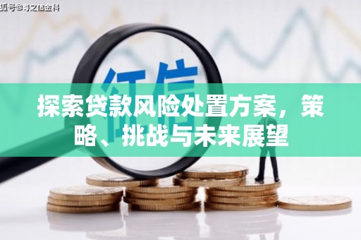 河南探索贷款风险处置方案，策略、挑战与未来展望