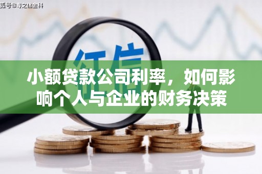 河南小额贷款公司利率，如何影响个人与企业的财务决策