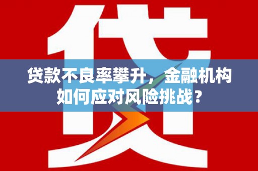 河南贷款不良率攀升，金融机构如何应对风险挑战？