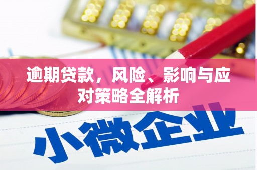 河南逾期贷款，风险、影响与应对策略全解析
