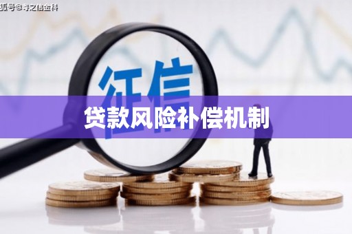 河南贷款风险补偿机制