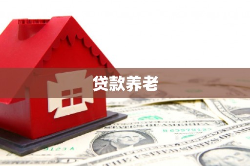 河南贷款养老