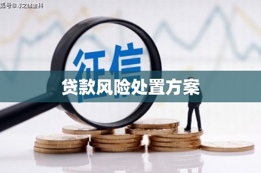 河南贷款风险处置方案