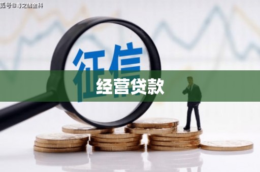 河南经营贷款