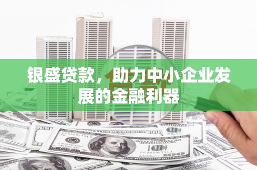 河南银盛贷款，助力中小企业发展的金融利器