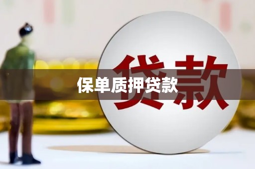 河南保单质押贷款