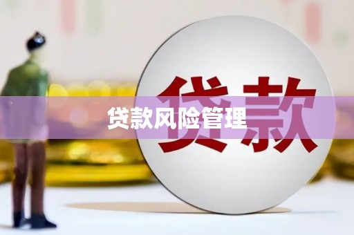 河南贷款风险管理
