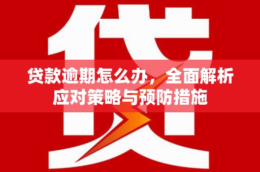 河南贷款逾期怎么办，全面解析应对策略与预防措施