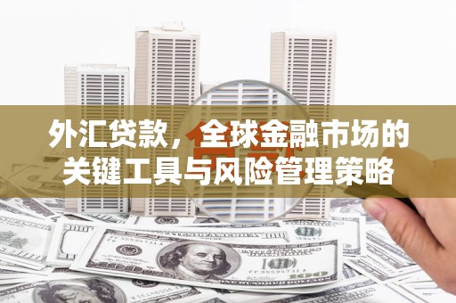 河南外汇贷款，全球金融市场的关键工具与风险管理策略